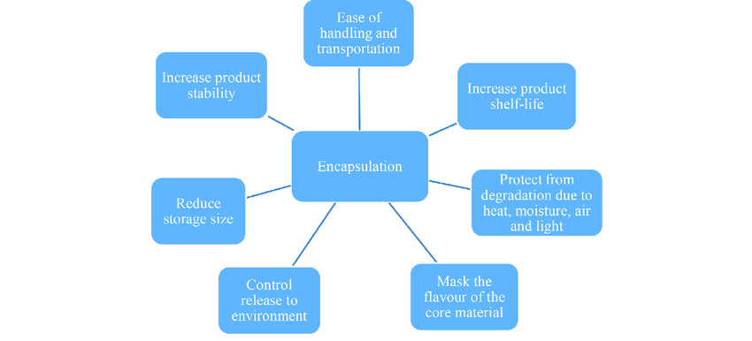 The Importance of Product Design